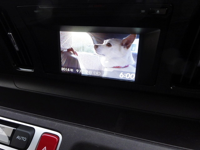 f:id:pokefuku2:20140902180028j:image