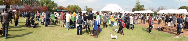 f:id:pokefuku2:20141026113501j:image