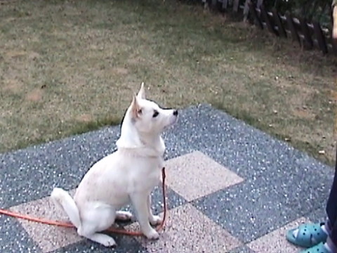 f:id:pokefuku2:20141221160529j:image