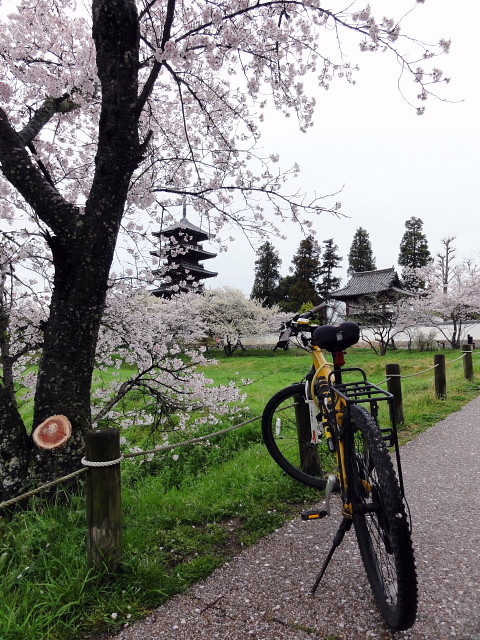 f:id:pokefuku2:20150404072744j:image