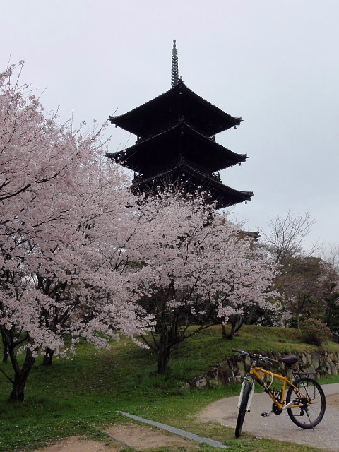 f:id:pokefuku2:20150404073029j:image