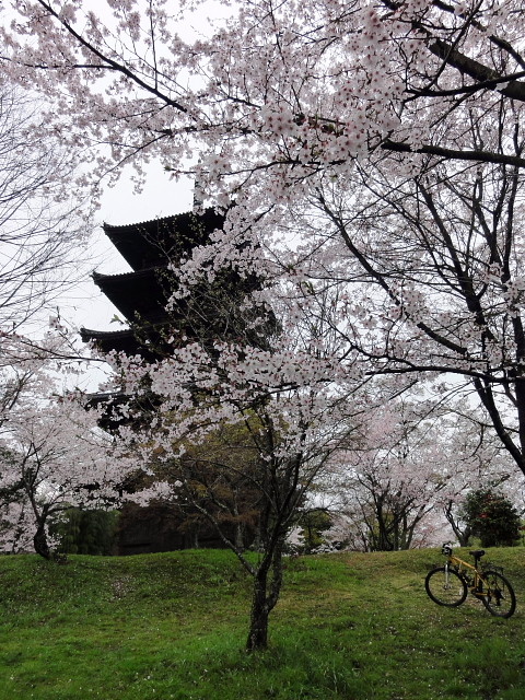 f:id:pokefuku2:20150404073216j:image