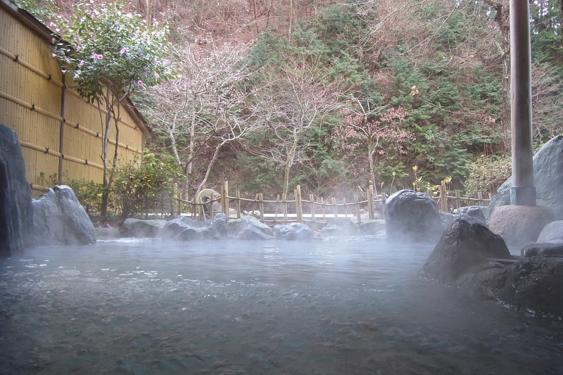 f:id:pokefuku2:20160110113300j:image