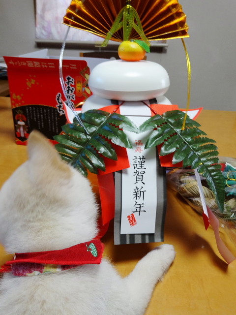 f:id:pokefuku2:20161230091321j:image