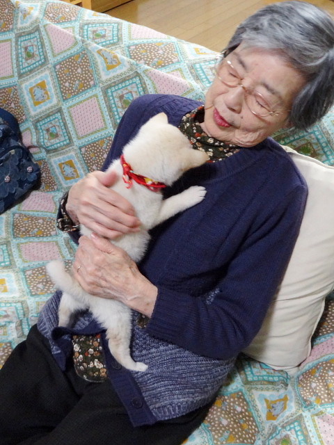 f:id:pokefuku2:20161231191256j:image