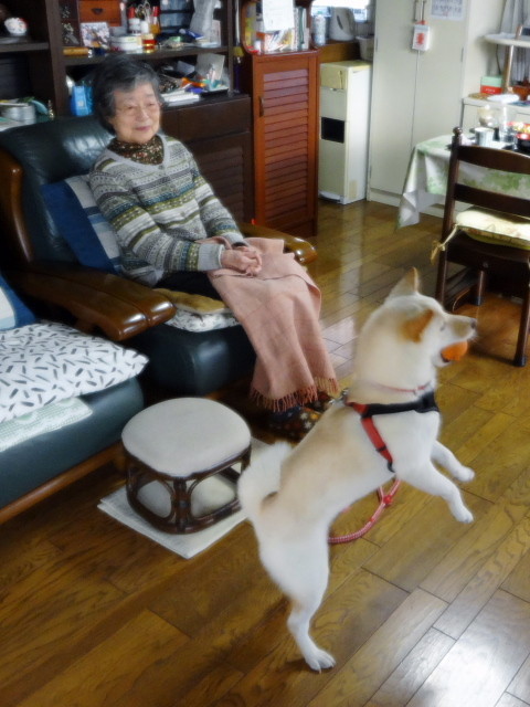 f:id:pokefuku2:20180101113730j:image