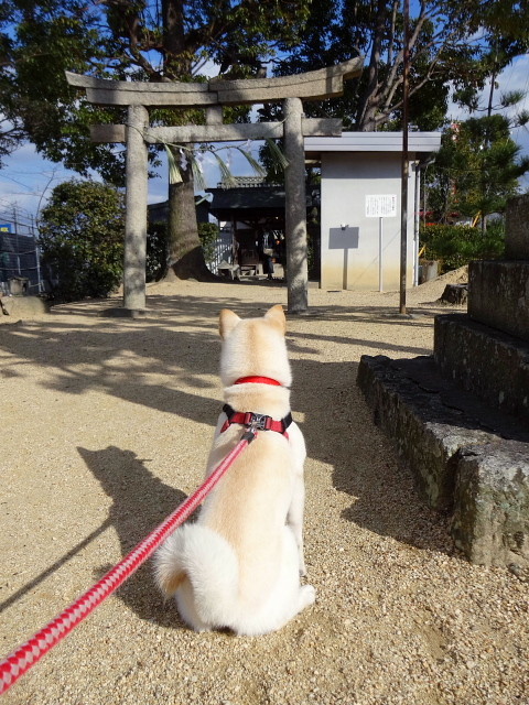 f:id:pokefuku2:20180101131808j:image