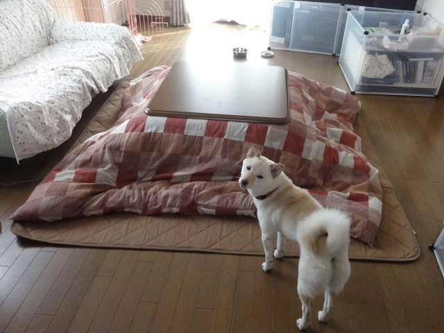 f:id:pokefuku2:20180125131929j:image