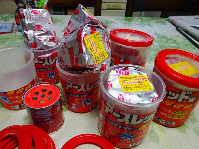 f:id:pokefuku2:20190601100825j:plain