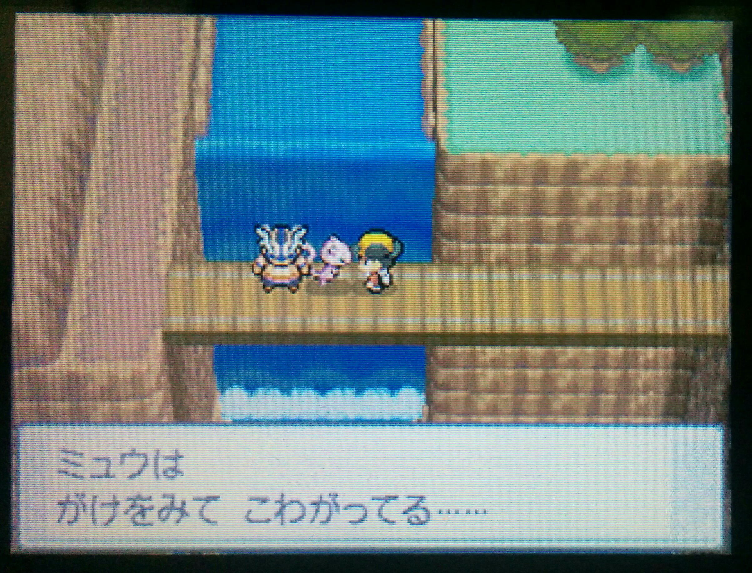 f:id:pokehaiflash56:20160625175857j:image f:id:pokehaiflash56:20160625175857j:image