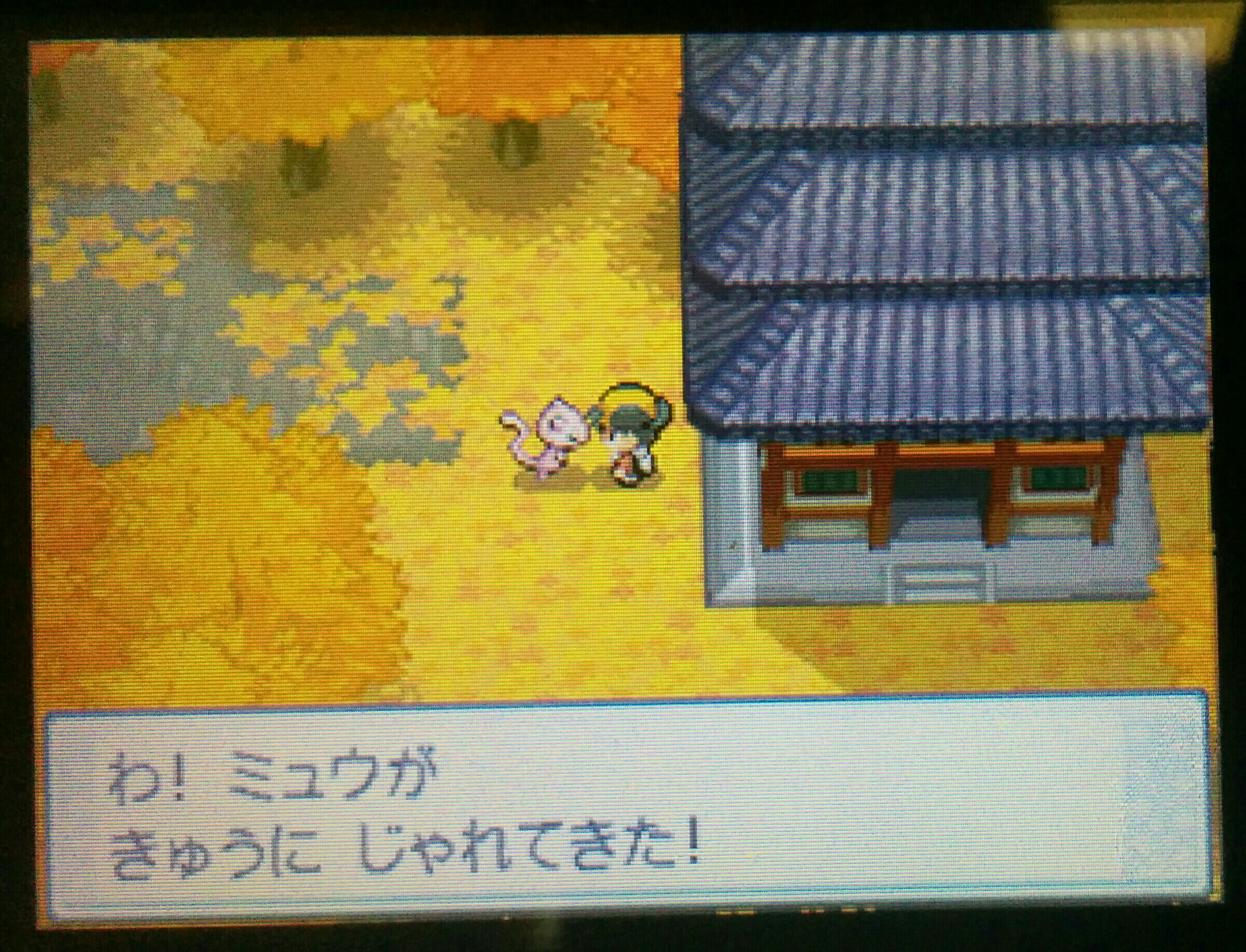 f:id:pokehaiflash56:20160625175941j:image f:id:pokehaiflash56:20160625175941j:image