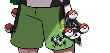 f:id:pokejournal:20190709063839p:plain