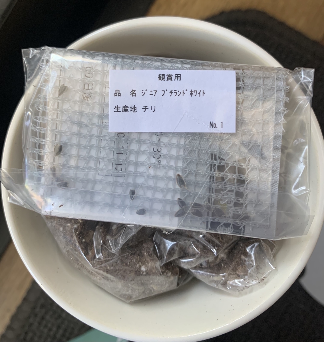 f:id:pokelab:20210612230310j:plain