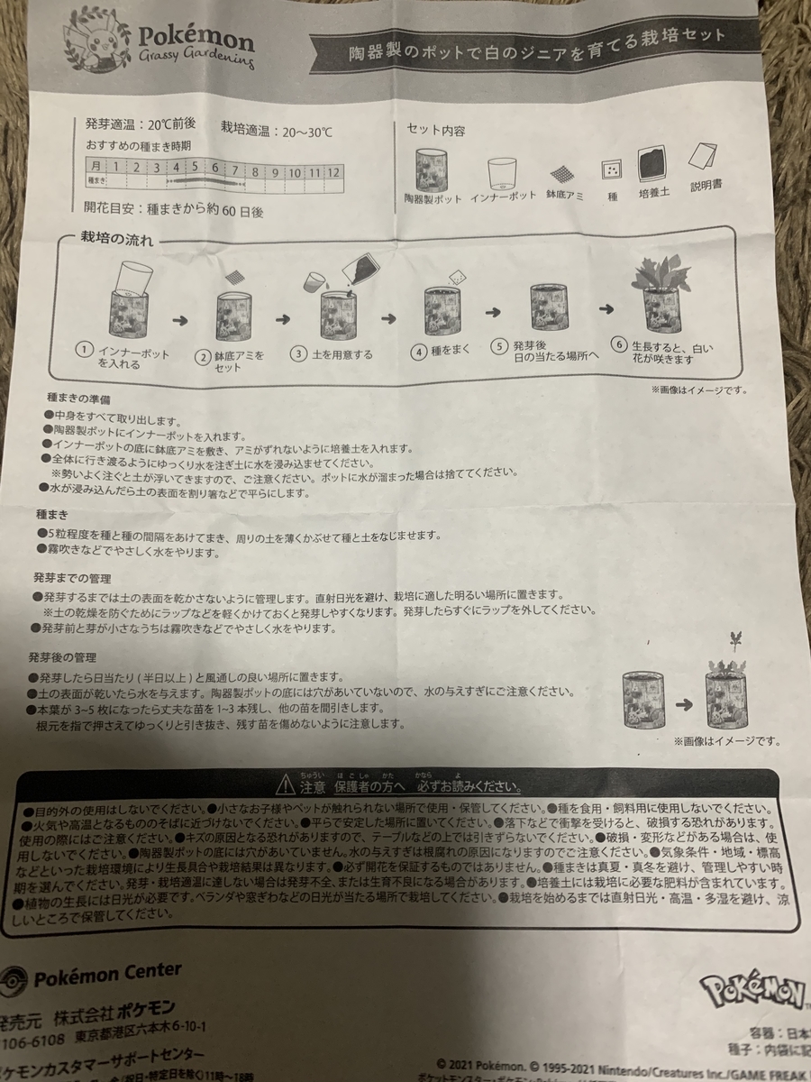 栽培セット Pokémon Grassy Gardening 白のジニアを種を蒔いて
