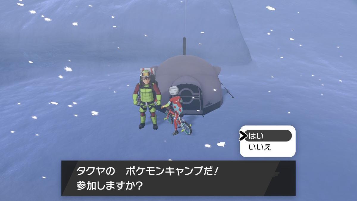 長い長い10番道路 １日30分で全クリを目指すポケットモンスターソード 38 ポケモン生活ブログ