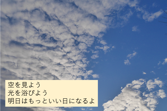 f:id:pokemontan:20190202103855p:plain f:id:pokemontan:20190202103855p:plain