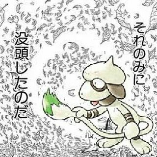 f:id:pokenjoy:20170510223628j:image f:id:pokenjoy:20170510223628j:image