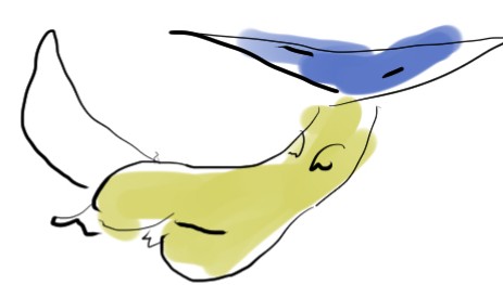 f:id:pokering:20200401141323j:plain