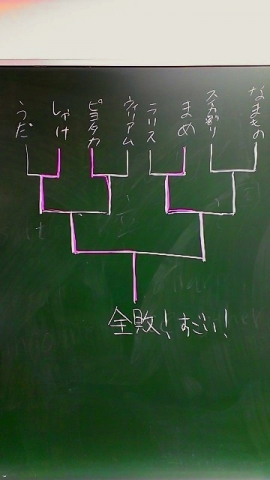 CHALK杯結果2
