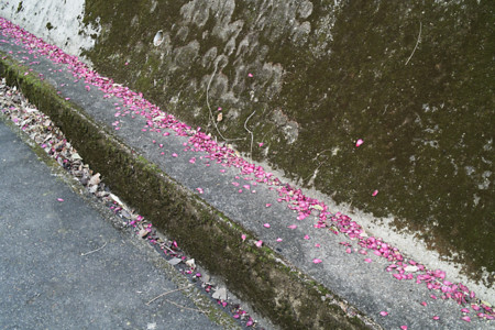 f:id:poki0392:20110106075248j:image