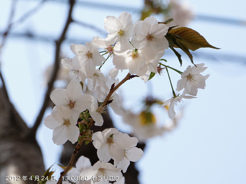 f:id:poki2:20120424130350j:image