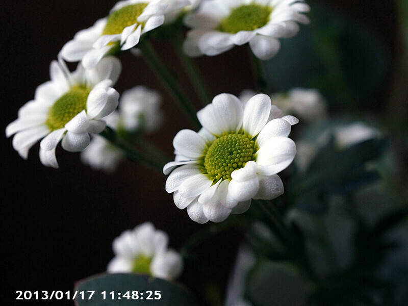 不明