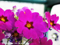 20130201101843