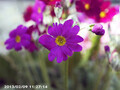 20130209112714