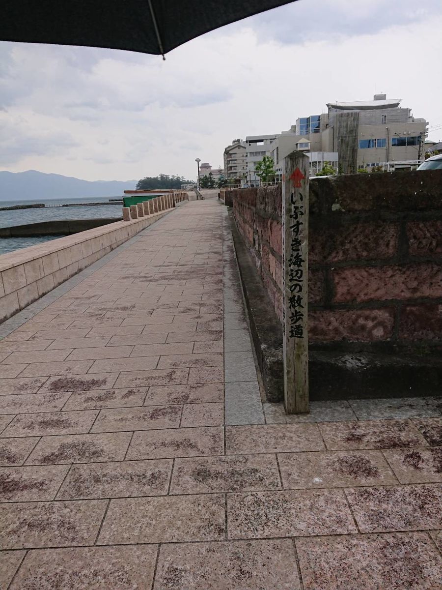 f:id:pokibasea:20210516112546j:plain