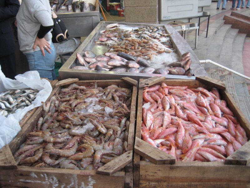 f:id:pokipapu:20100117000321j:image
