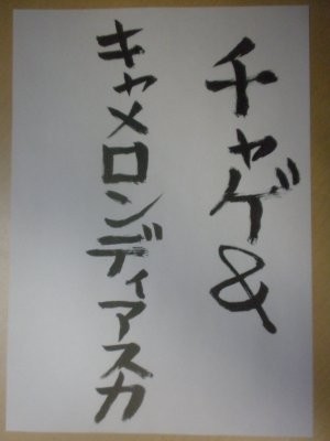 f:id:pokkuriboy:20100327203433j:image