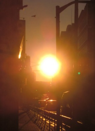 f:id:pokkuriboy:20101113232655j:image