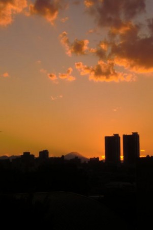 f:id:pokkuriboy:20101113232656j:image