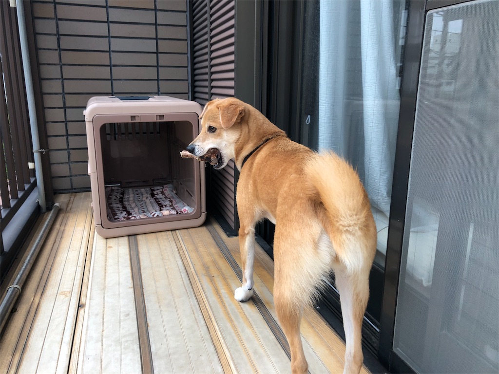 f:id:poko-aru:20190716174546j:image f:id:poko-aru:20190716174546j:image