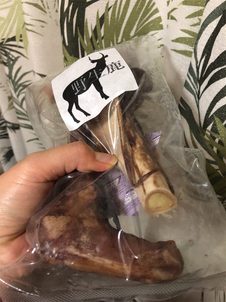 f:id:poko-aru:20190716174549j:image f:id:poko-aru:20190716174549j:image