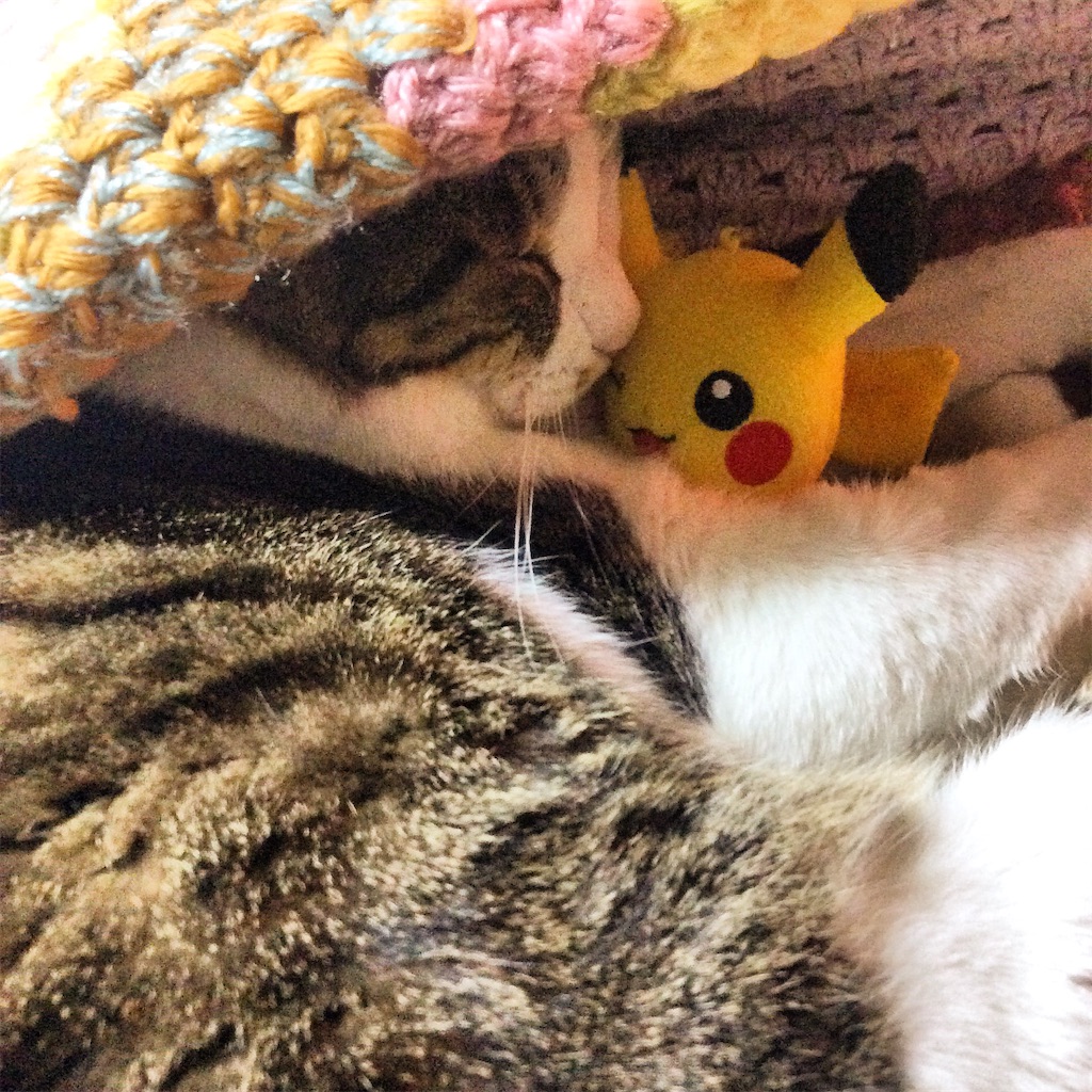 f:id:poko-miko:20181210172855j:image f:id:poko-miko:20181210172855j:image