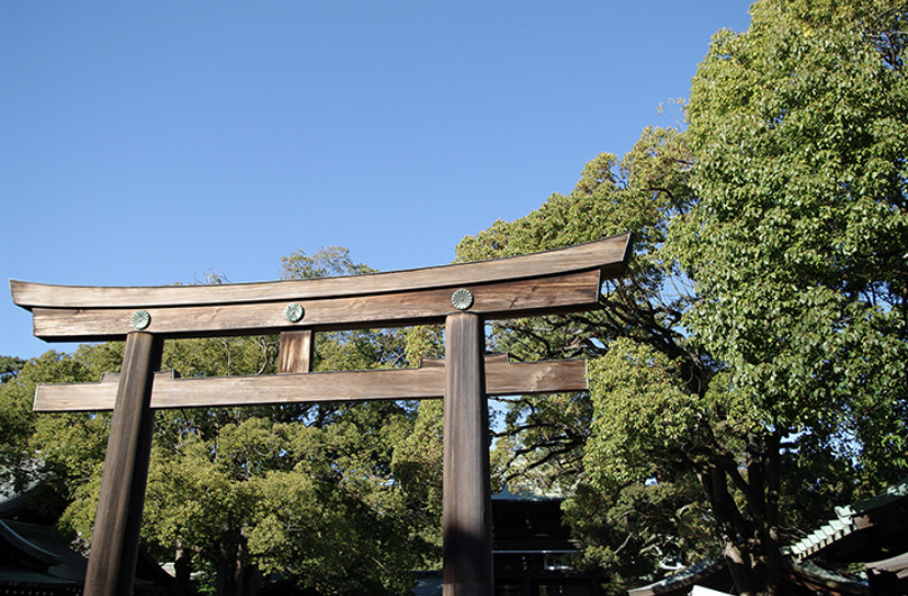 f:id:pokomama:20190103094436j:image:w240,h160