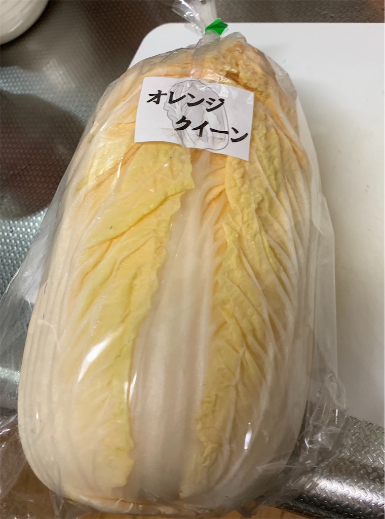 f:id:pokomama:20190201131521j:image
