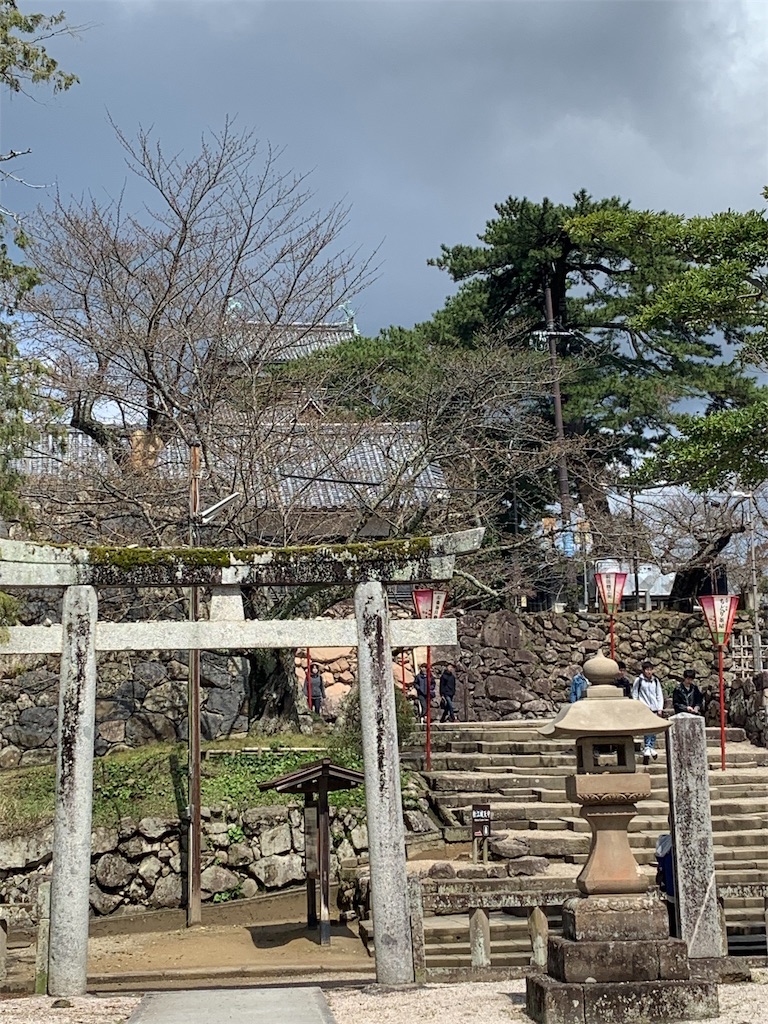 f:id:pokomama:20190414215723j:image:w270,h360