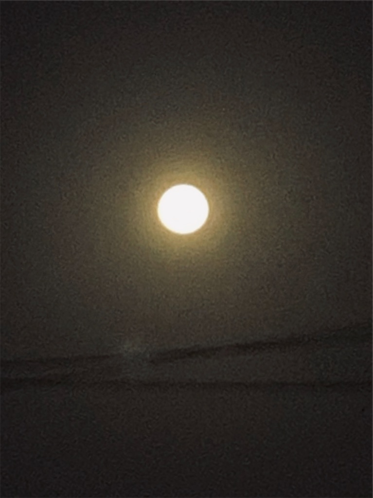f:id:pokomama:20190418191426j:image:w270,h360