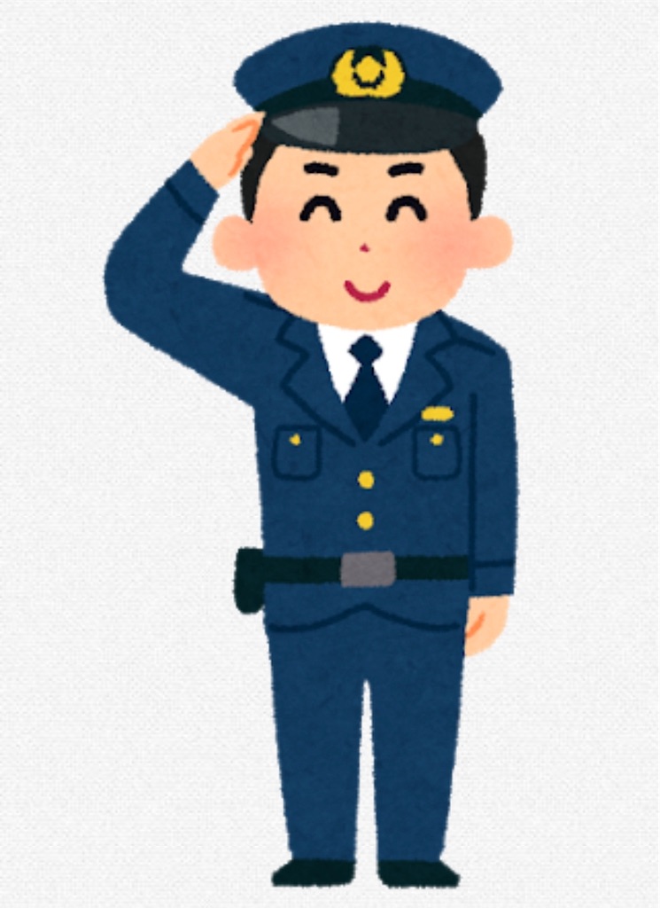 f:id:pokomama:20190622183556j:image:w260,h340