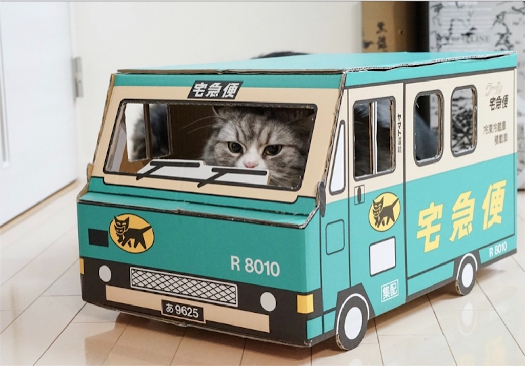 f:id:pokomama:20190907160610j:image:w300,h220