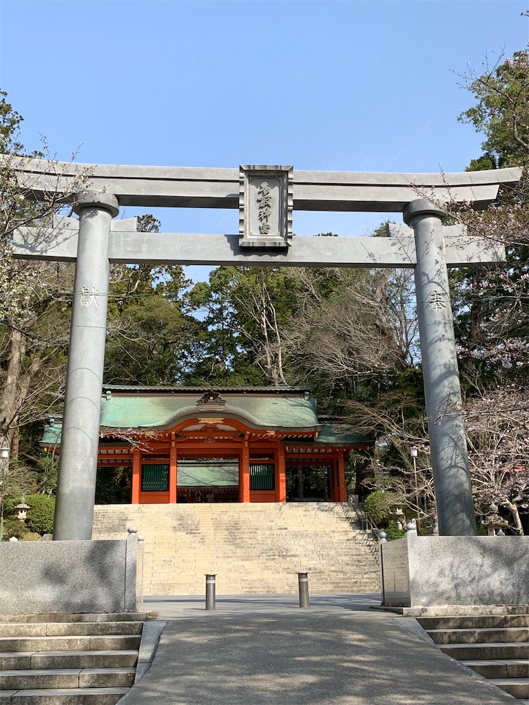f:id:pokomama:20200324230846j:image:w250,h300