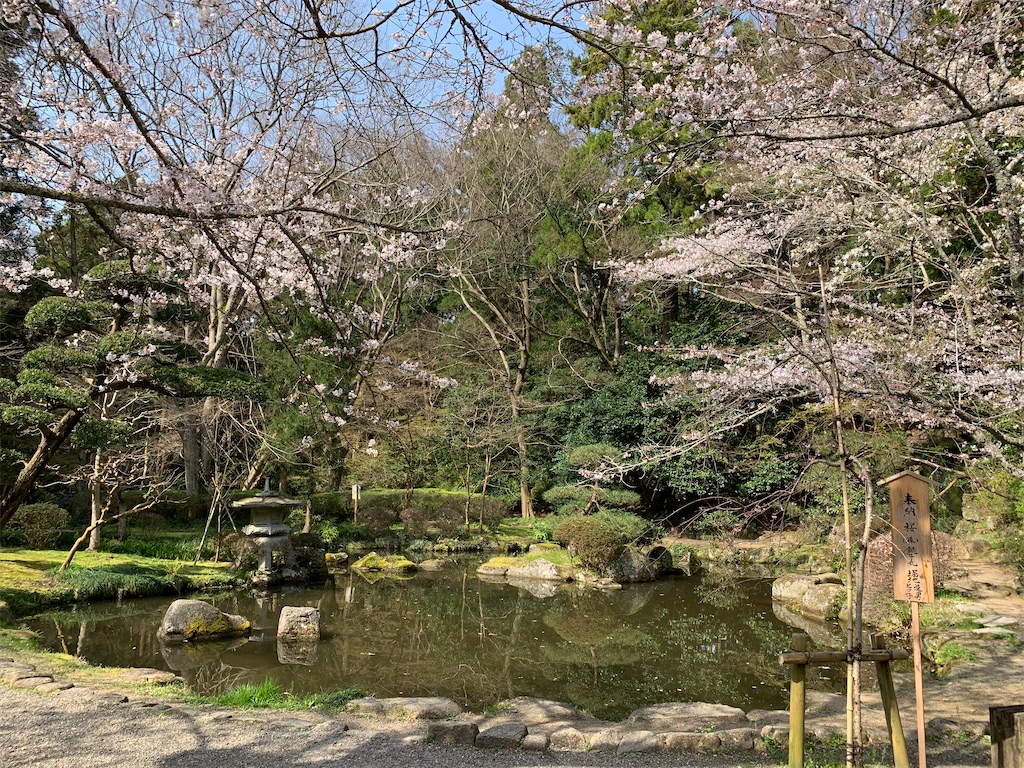 f:id:pokomama:20200324230850j:image:w260,h200
