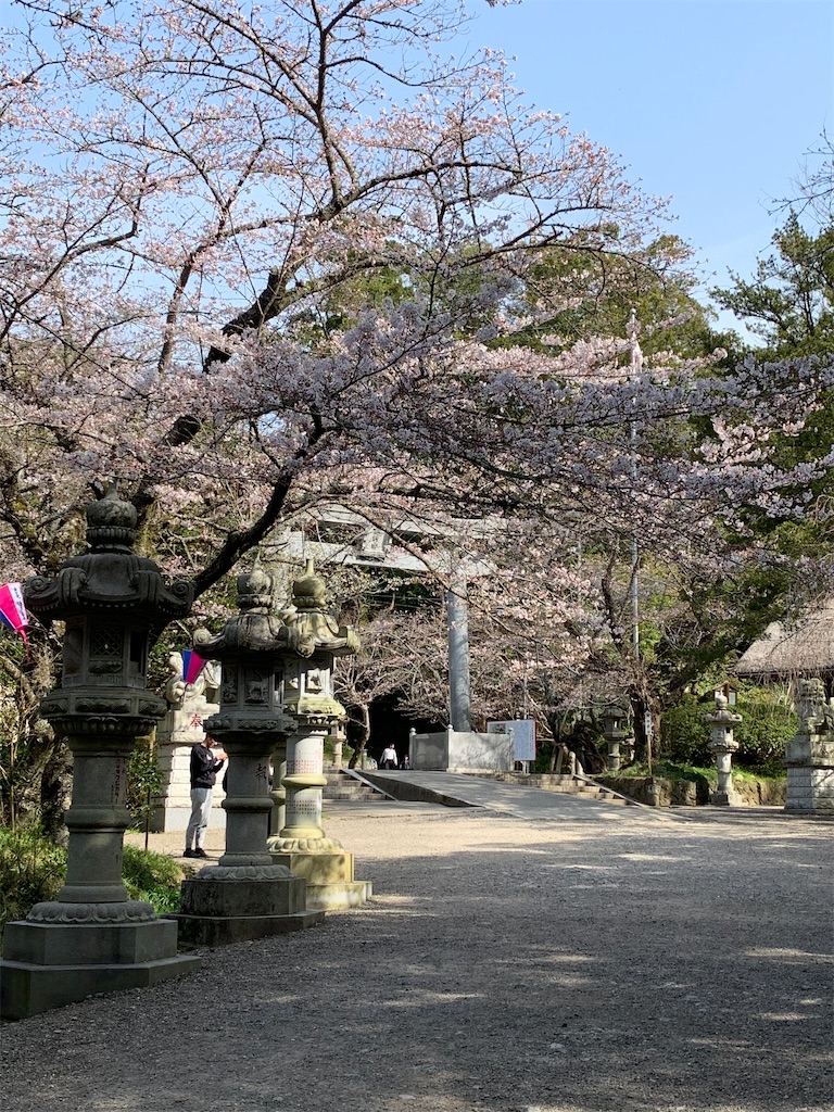 f:id:pokomama:20200324230913j:image:w250,h300