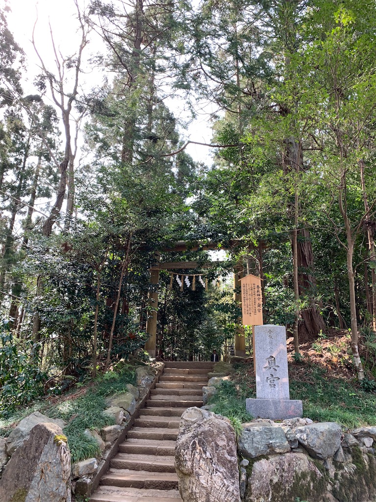 f:id:pokomama:20200324230922j:image:w250,h300