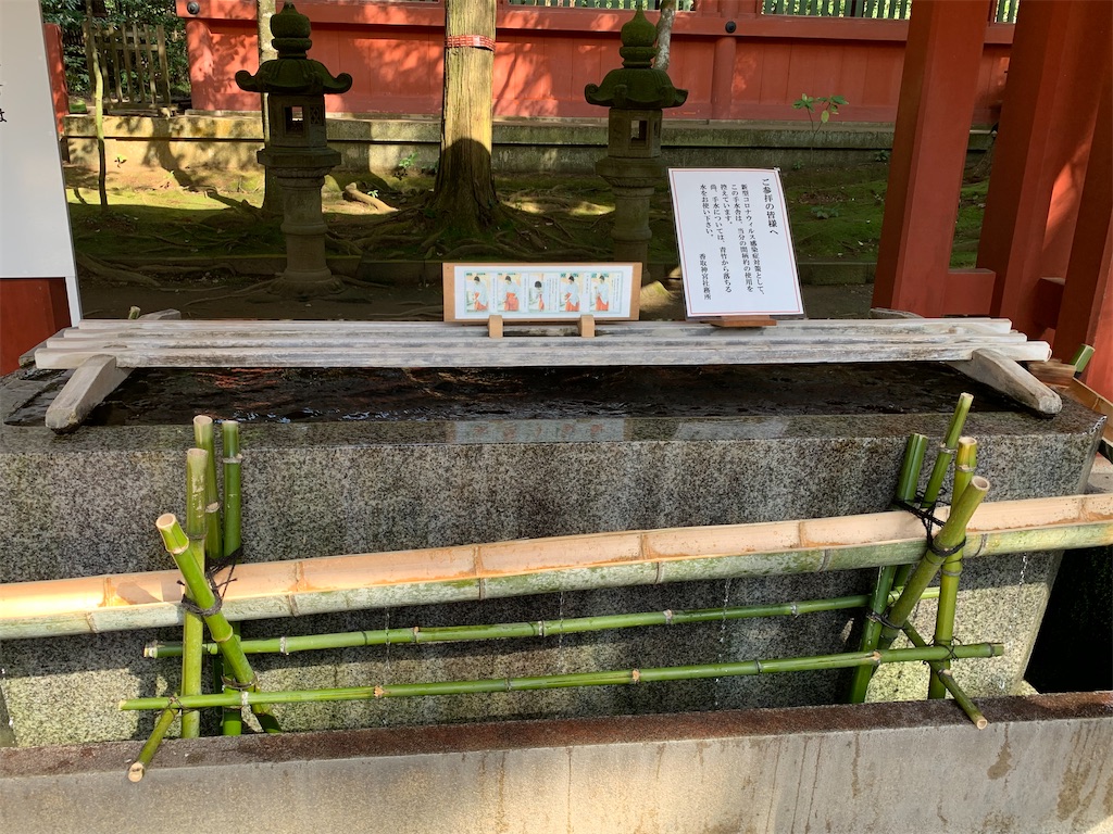 f:id:pokomama:20200324230943j:image:w260,h200