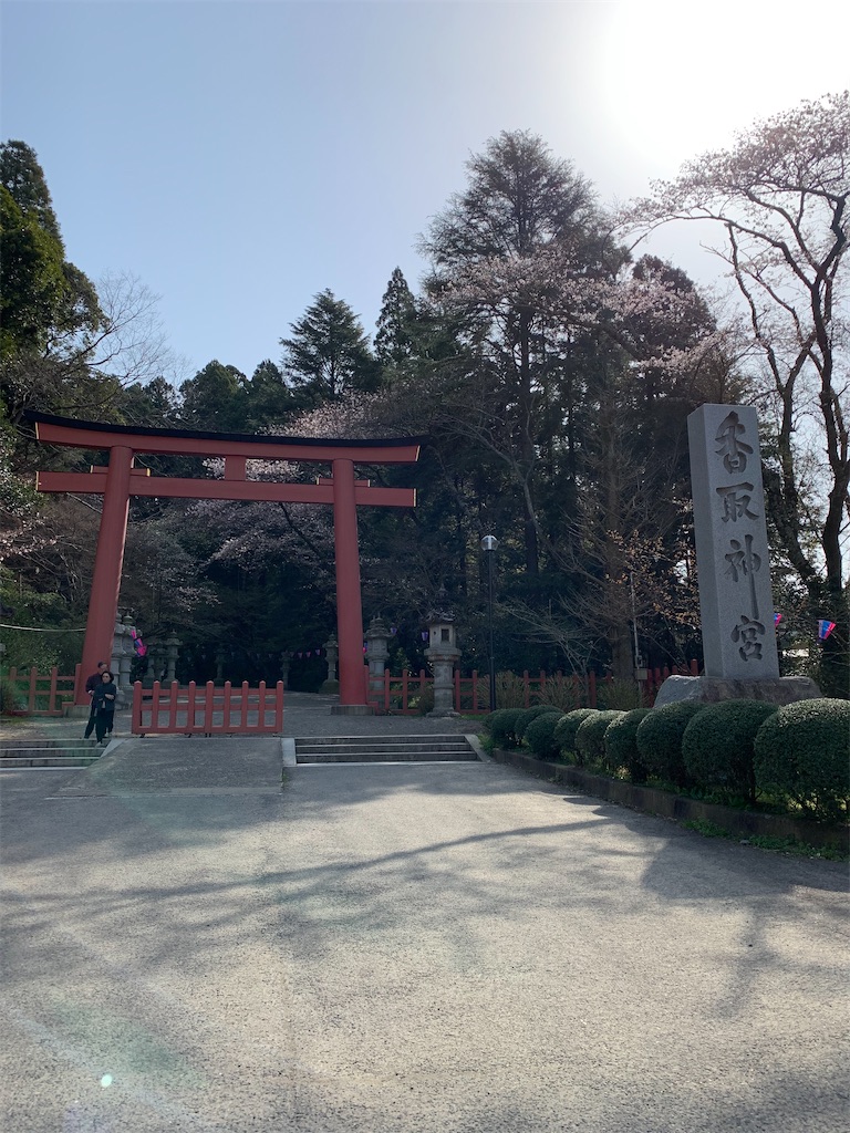 f:id:pokomama:20200324230950j:image:w250,h300