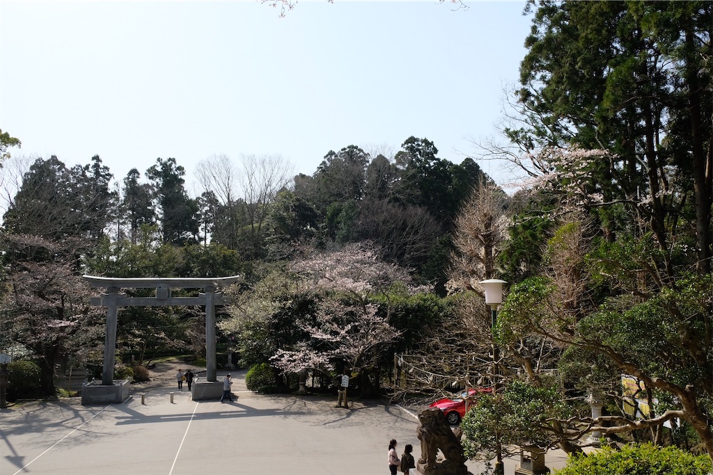 f:id:pokomama:20200324231000j:image:w260,h200
