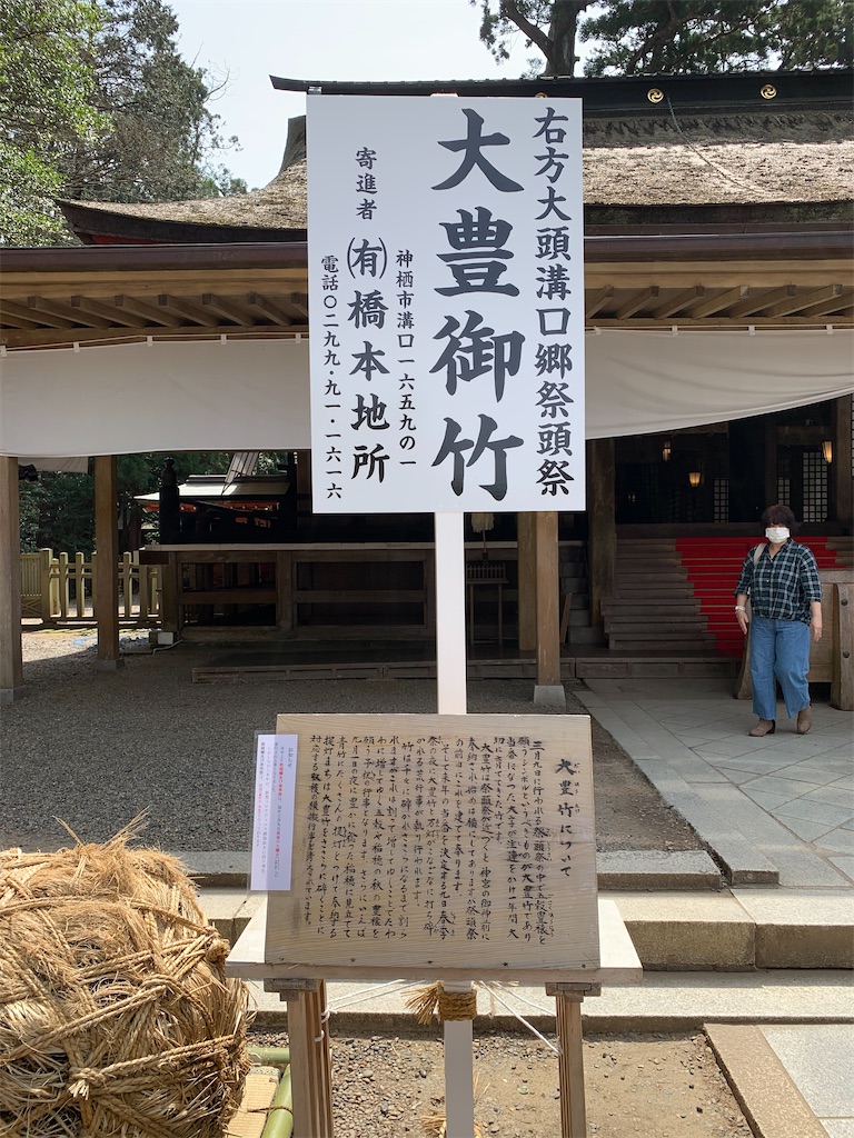 f:id:pokomama:20200328155158j:image:w240,h280